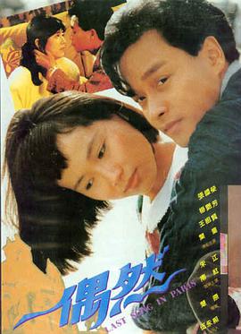 749局 电影 2025 王俊凯,苗苗